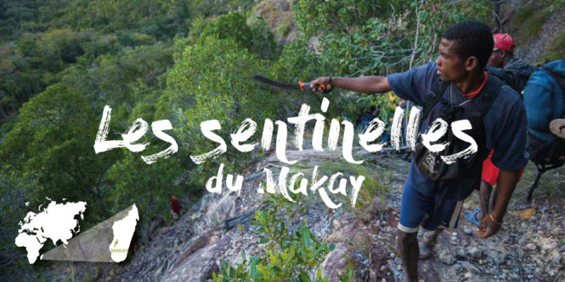 Le Tabaky – Le bois qui maquille - Naturevolution